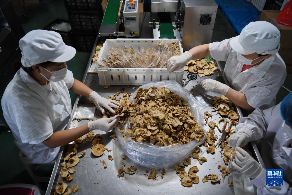 越南老街赌场有几个